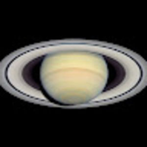 Meet your Posher, Jaye